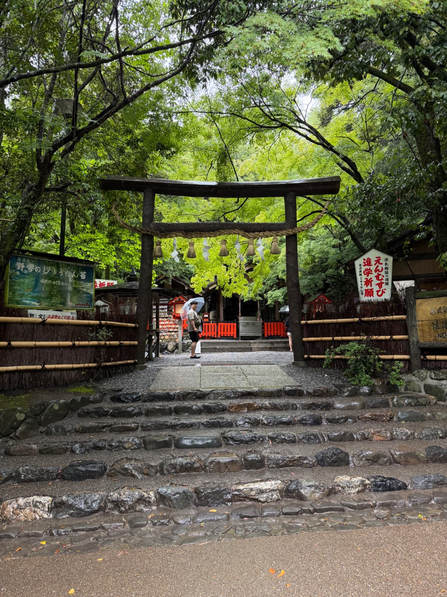 How to Prepare for Your First Trip to East Asia: 8 Essential Tips