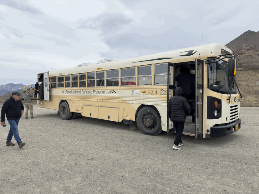 Denali: The Tundra Wilderness Tour and the National Park