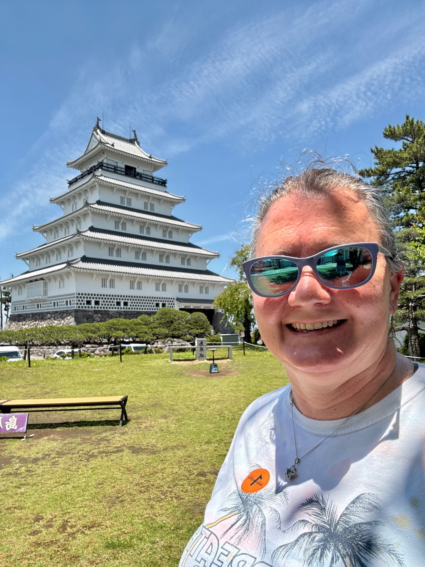 Japan Cruise Excursions Worth Booking vs Doing Yourself